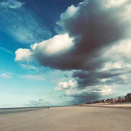 Depanne Fiftyone Lejlighed *